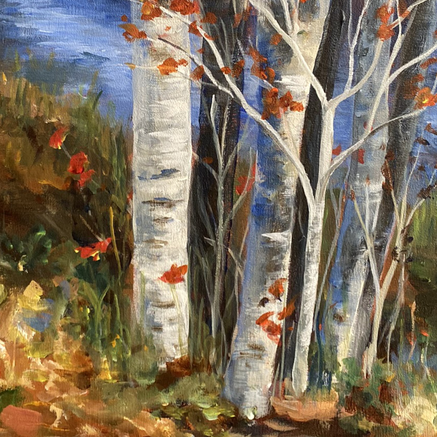 Group of birch trees by a stream. Autumn colours are abundant on the ground and the other side of the stream.