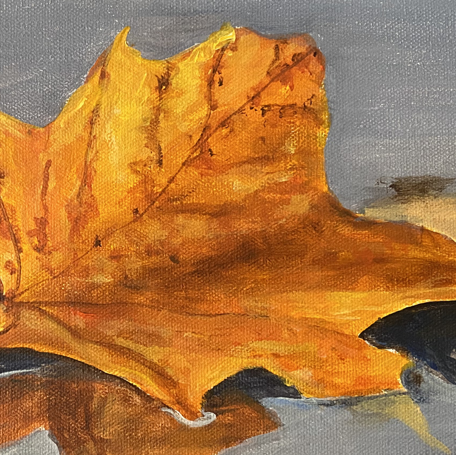 A close-up painting of a few golden-hued maple leaves that have fallen onto a wet surface so there are reflections. There is a feather on the left-hand side.