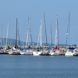IMG_2573%20CROP