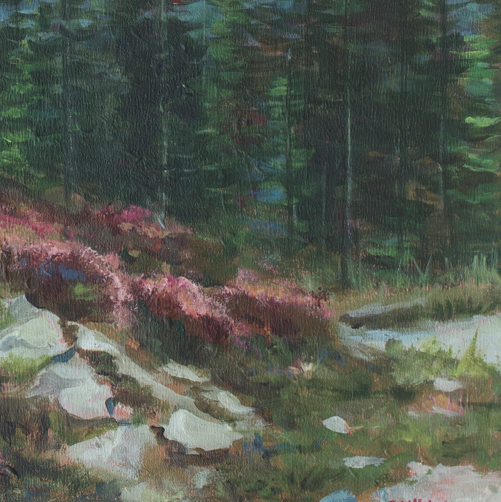 Perspective of mountains with a stand of tall pine trees in the middle. The foreground has pink flowers and rocks mixed with a bit of greenery.