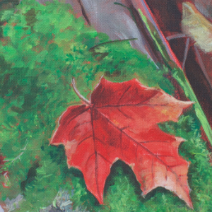Red Leaf on mossy fallen tree trunk.