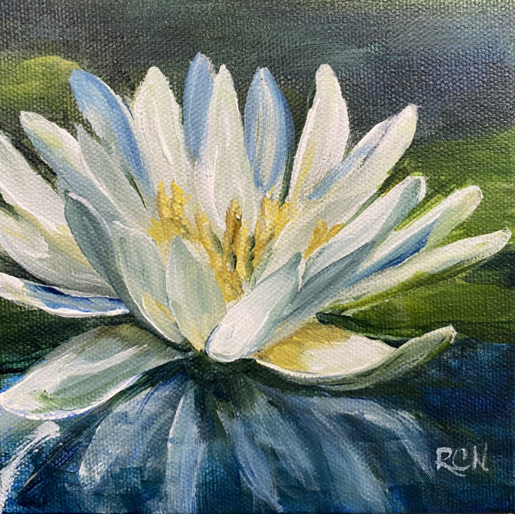 White waterlily flower beside a lily pad reflecting into dark blue water.
