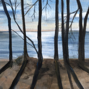 A group of thin trees are silhouetted against a blue sunset sky along the edge of a lake.